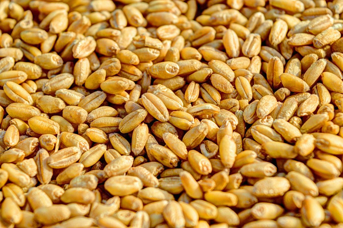 Amaranth